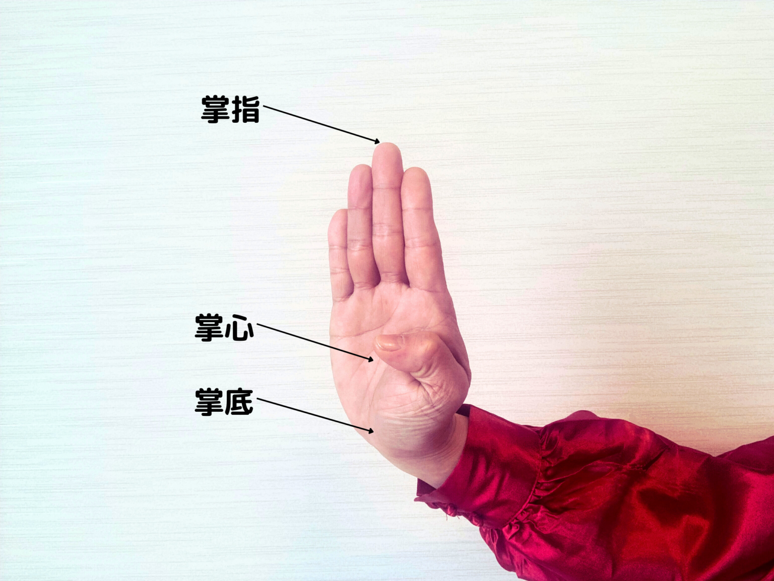 手型と歩型を身につける | 精華武術會blog