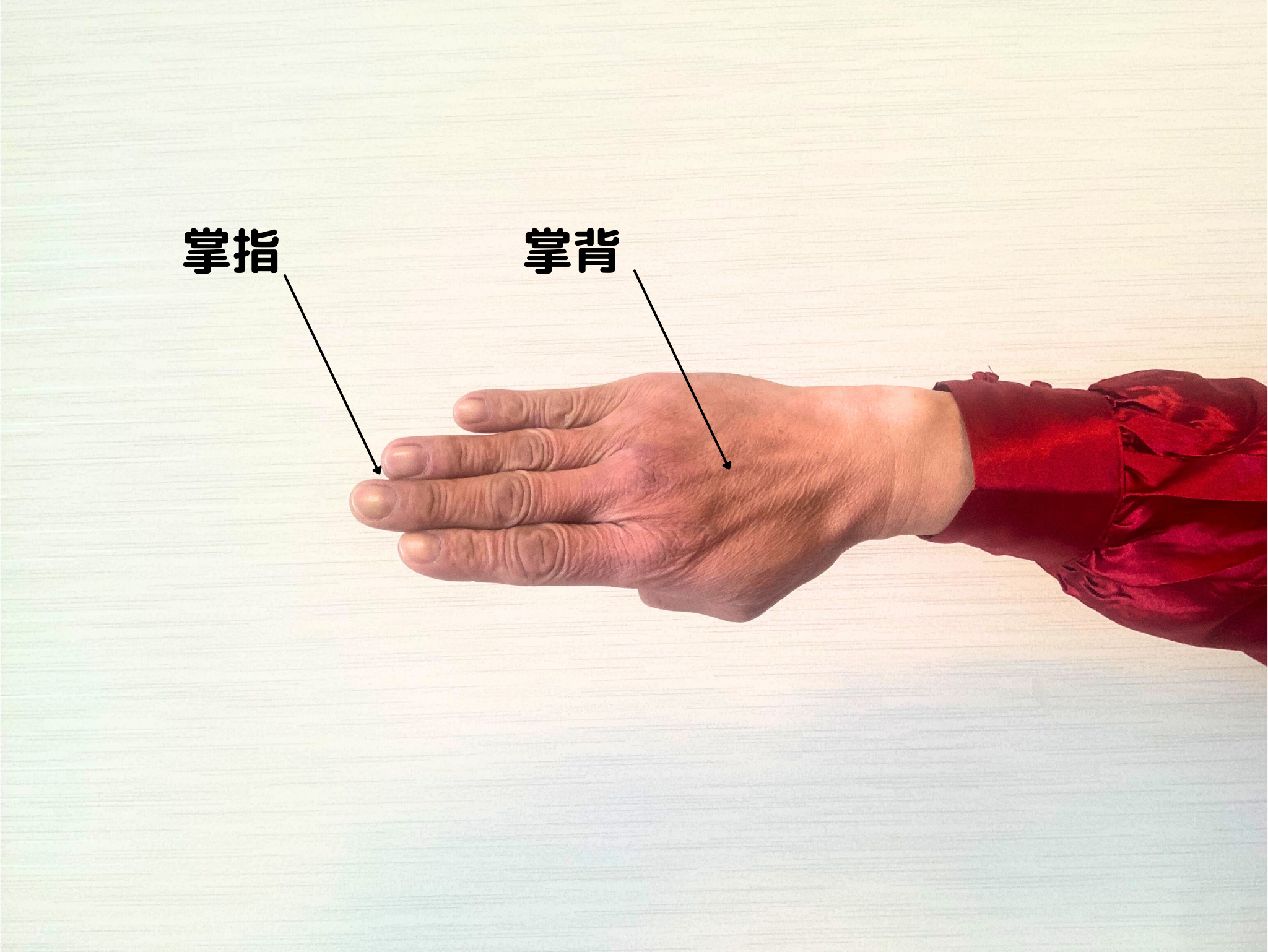 手型と歩型を身につける | 精華武術會blog
